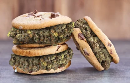 Tropicana Cookies 4gr