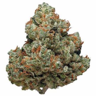 Candy Store 5gr
