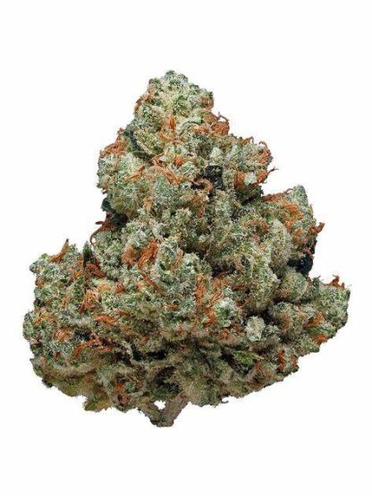 Candy Store 5gr
