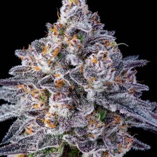C - Breeze 5gr